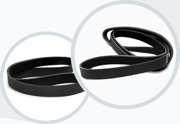 Correas Hutchinson